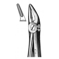 FF-050-019