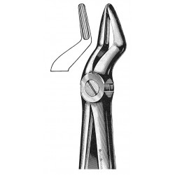 FF-050-029